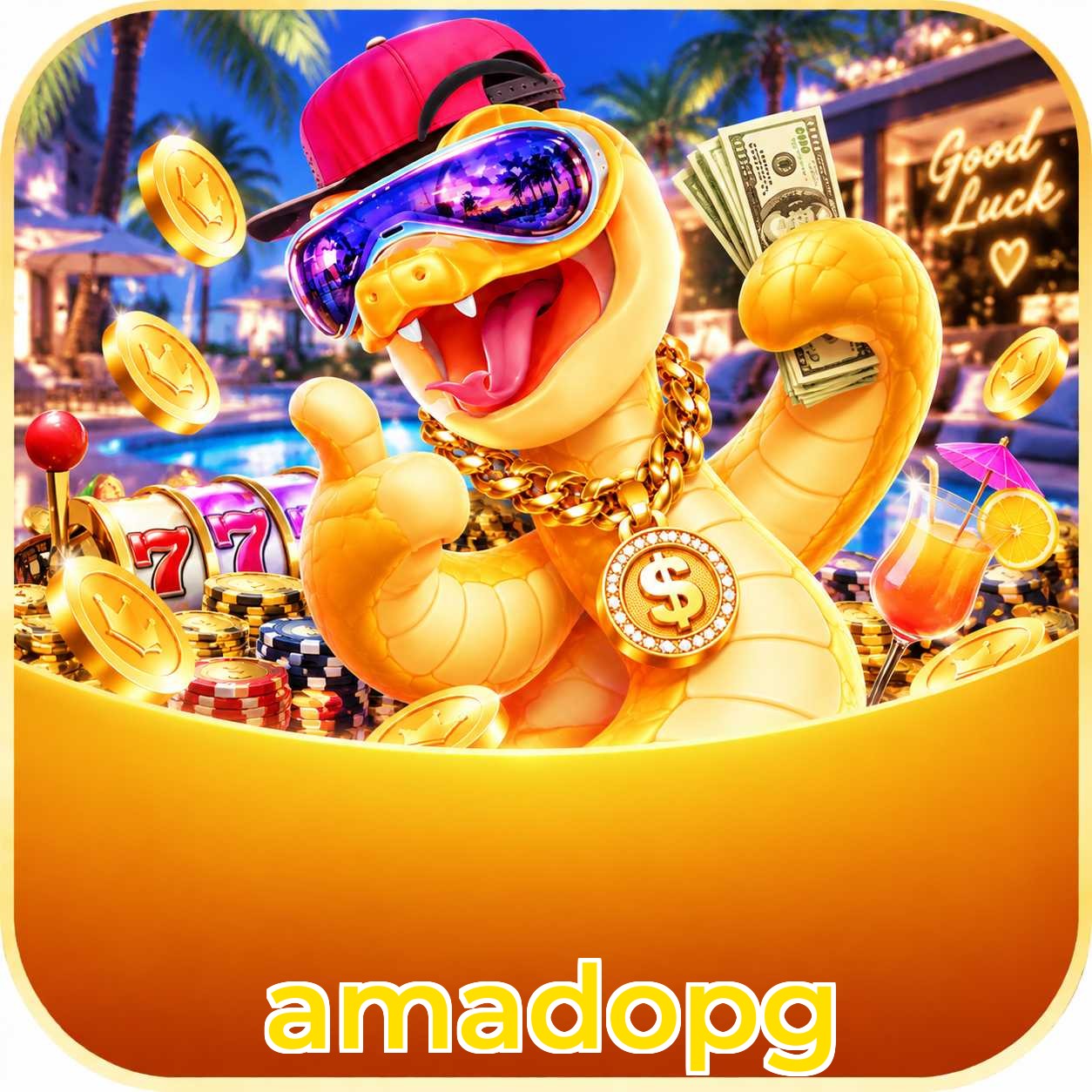 App amadopg com catálogo premium, PIX e suporte 24/7